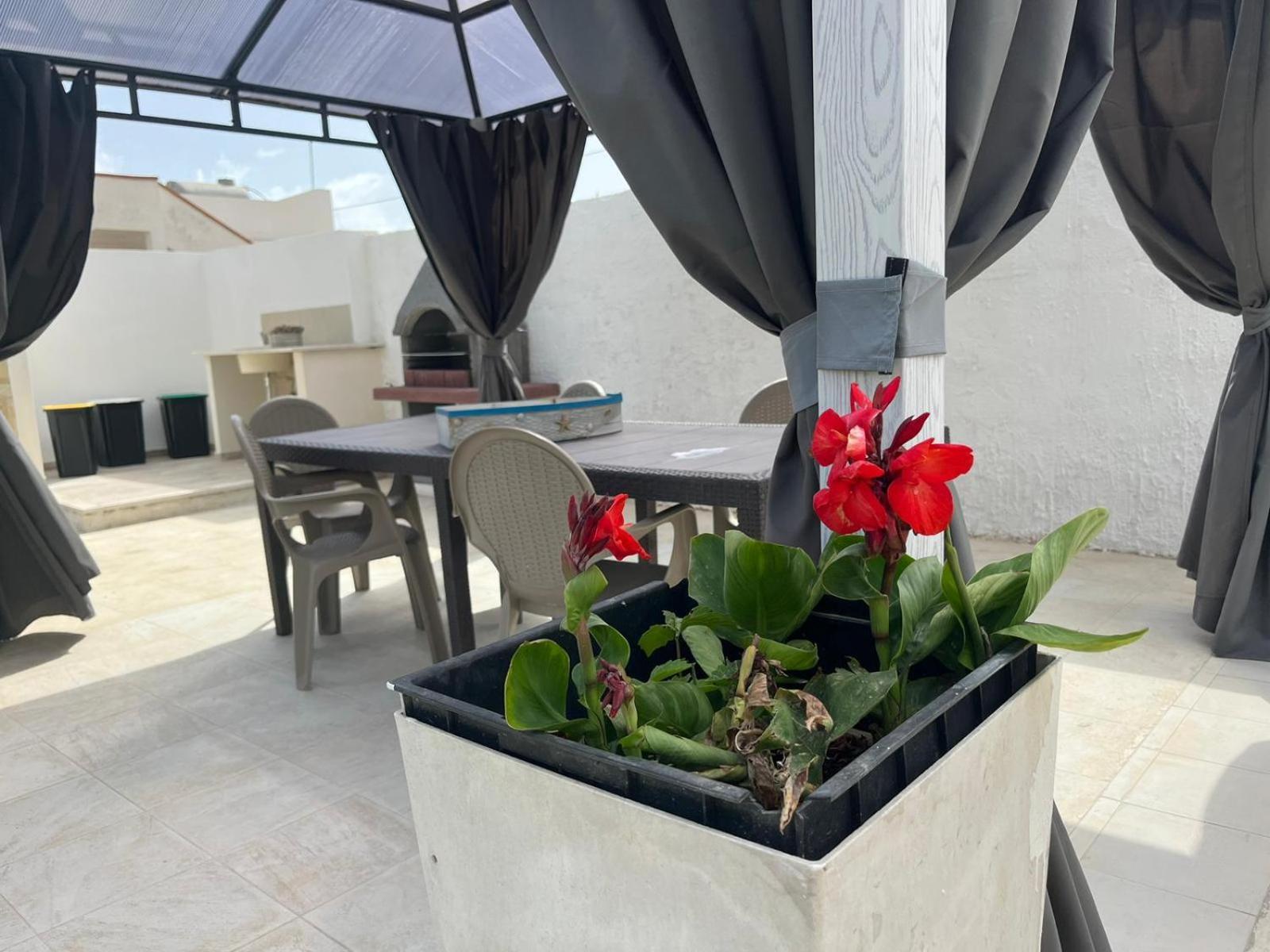 Villa Tellina Mare Luna Granelli Bagian luar foto